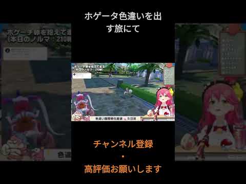 みこちの教育実習 研修中の衝撃の実話【ホロライブ切り抜き/さくらみこ/ホロライブ】