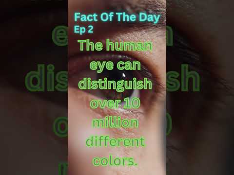 Fact Of The Day| Ep 2| Human Eye #shorts #trending #viral