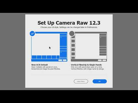 Photoshop Elements 2021 Editing RAW Images