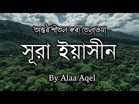 সূরা ইয়াসিন -পৃথিবীর সবচেয়ে সুন্দর তেলাওয়াত। Beautiful Tilawat | Surah Yasin by Alaa Aqel