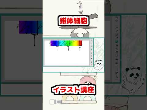 【 #イラスト講座 】色空間とは②　#shorts