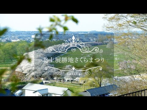 【岩手/北上展勝地さくらまつり】開放感あふれる絶景を求めて桜トリップ！