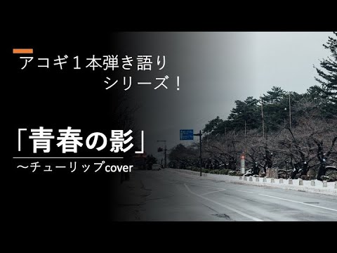 青春の影〜チューリップ cover