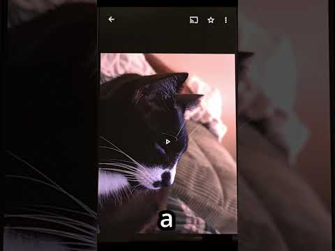 How to Fix Google Photos Casting Bug on Android - Lag and Stutter Issue #android #shorts