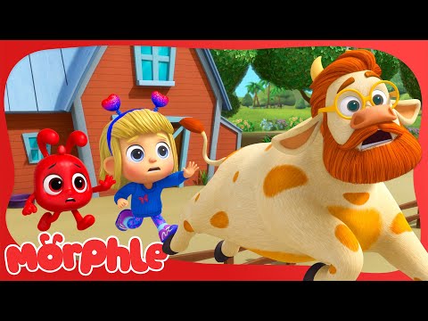 Giant Cow Chase! 🐮 | Morphle | Season 6 Finale | Kids Cartoon Video