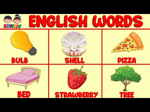 First 50 English Words For Toddlers - Learn English Vocabulary - Video Flashcards For Kids