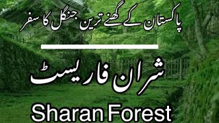 Sharan Forest Tour | Sharan Forest Track | Complete tour guide | Sharan Aabshar | Manshi Top |