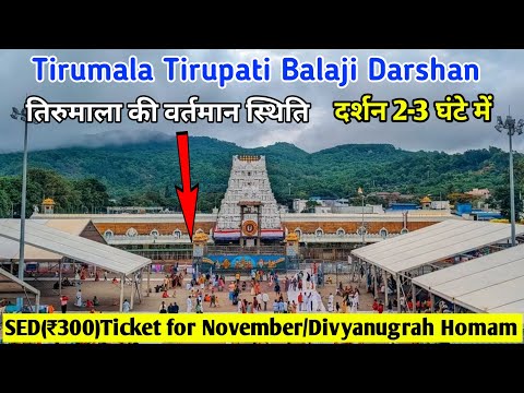 Tirumala Present Situation | ₹300 SED Ticket for November | Tirupati Balaji Darshan | DP Trekker