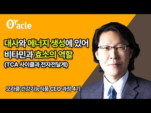 대사와 에너지 생성에 있어 비타민과 효소의 역할 (TCA 사이클과 전자전달계)