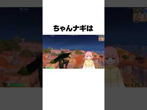 【誰も知らない雑学】ちゃんナギは図形が...【フォートナイト/Fortnite】