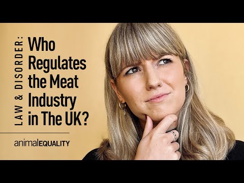 Who Regulates The Meat Industry In The UK?