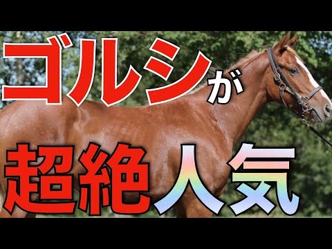 ゴールドシップ産駒の人気が止まらない！ウイン＆マイネルで満口続出。