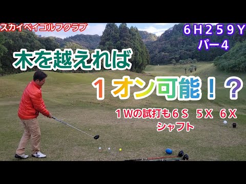 【ゴルフ】1オンも可能⁉木を越えればのお話し！【スカイベイゴルフクラブ】1wの試打も6S  5x 6xシャフト