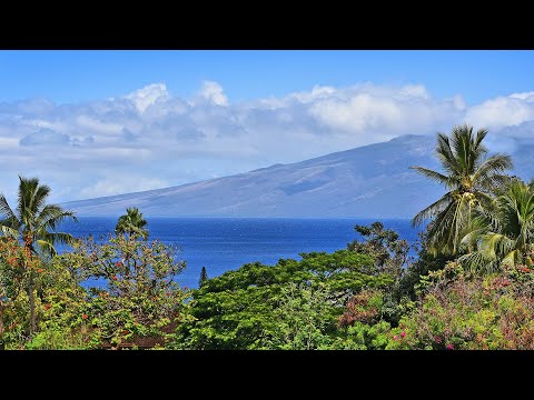 The Masters #201 - Kaanapali, Hawaii