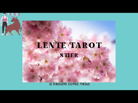 lente TAROT STIER A dream come true