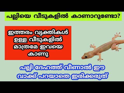 ഇത്തരം വ്യക്തികൾ ഉള്ള വീടുകളിൽ മാത്രമേ പല്ലിയെ കാണു