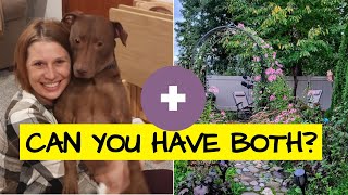 🐾How to Create a Dog-Friendly Backyard: Landscape Design Tips