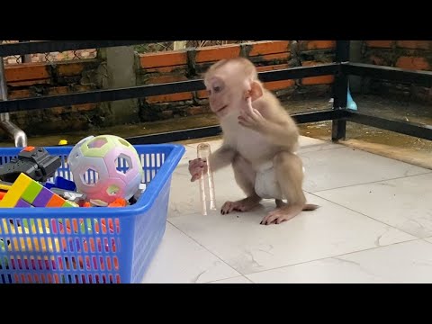 Adorable baby boy play toys alone outside