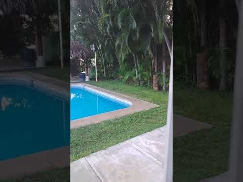 la lagartiga que callo de una palmera Playa Manzanillo 😱😱😱