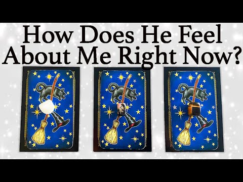 💕WHAT DOES HE/SHE THINK AND FEEL ABOUT ME RIGHT NOW?💕| 🔮Pick A Card🔮 | Love Tarot Reading (Timeless)