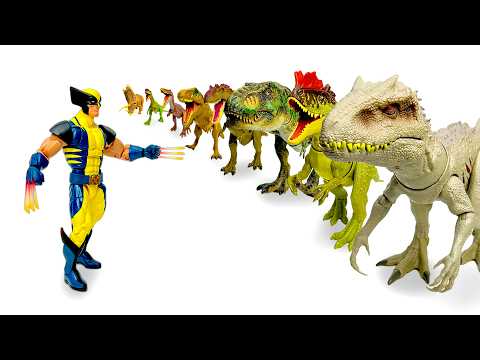 Jurassic World Dinos VS Wolverine | Amazing Dinosaurs