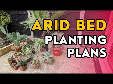 Planting plans for my desert / arid bed of cacti and succulents