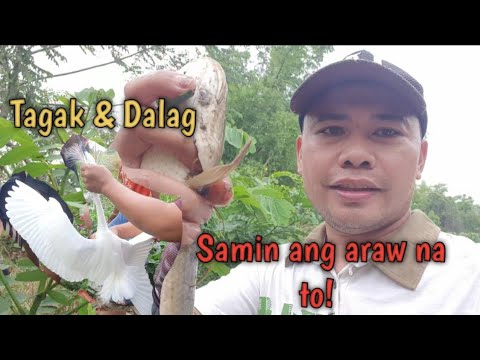 Swerte kami sa Araw  na ito Pati Ibon Huli | Electric Fishing | Kanorio M.V