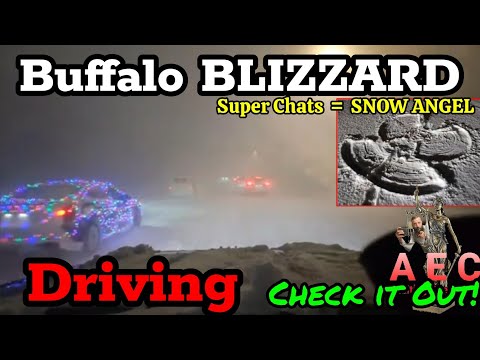 BUFFALO BLIZZARD!