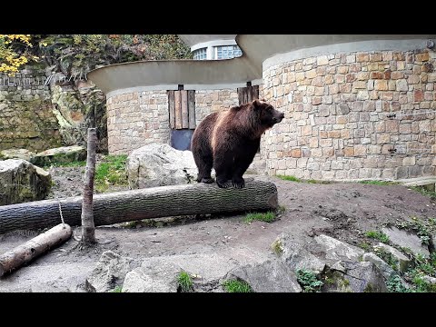 Děčín Zoo, Czech Republic from Travel with Iva Jasperson