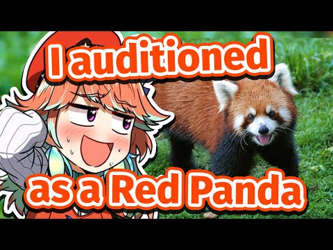 Kiara Might Have Been a Red Panda and not a Phoenix