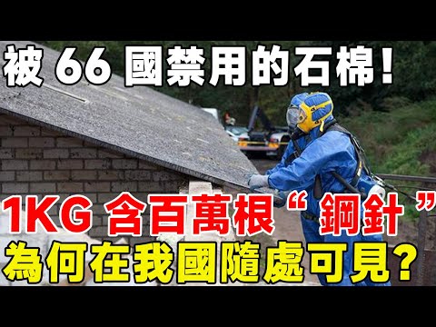 被66國禁用的石棉！ 1Kg含百萬根“鋼針”，為何在我國隨處可見？#科普頻道 #科普