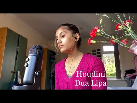 Dua Lipa - Houdini (cover)