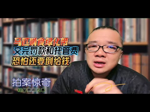 15匹马啃食绿化被罚，交完罚款和托管费，还能剩下几毛钱？