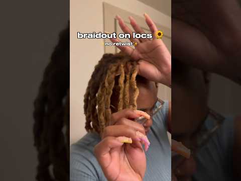 braidout on locs 🌻 | no retwist #locs #locjourney #locstyles #grwm