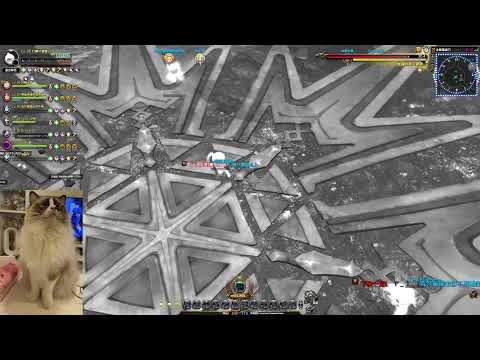 2022/4/23 - Dragon Nest - 冰晶龍 21F 適應力90大砲星帶過1R