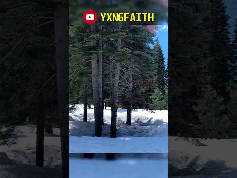 Snowy View #reels #shorts #snow #landscape #tree #landscape #ytshorts #viral #amazing #naturelover