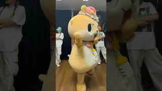 CRAZY踊りましたっ☆#ちぃたん☆#chiitan #LESSERAFIM #ダンス#shorts