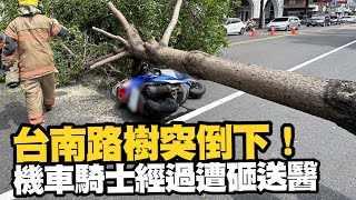 台南路樹突倒下驚險畫面曝　機車騎士「經過遭砸」送醫｜意外｜社會