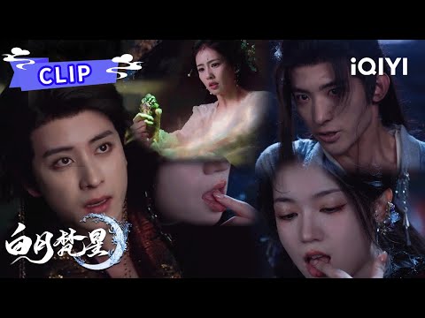 Clip：不愧都是纯恨夫妇👩‍❤️‍👨茯苓指尖尝血迹逼迫重昭堕妖🦹什么女A男O文学啊😻白烁集得无念石第二念💎 |白月梵星 Moonlight Mystique| 白鹿 敖瑞鹏 |✦ 爱奇艺东方奇幻 ✦