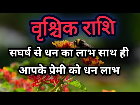 वृश्चिक राशि सर्घष से धन लाभ साथ ही आपका ♥️Scorpio zodiac