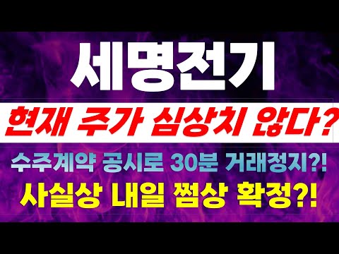 [세명전기 주가전망] 현재 주가 심상치 않다? 수주계약 공시로 30분 거래정지?! 사실상 내일 쩜상 확정?!