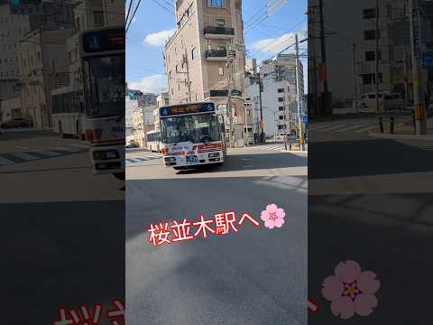 【西鉄バス】🌸桜並木駅へGO🌸