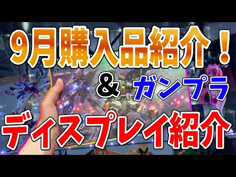 【ガンプラ】9月の再販＆新作購入品が最高すぎた！！最後にコレクション紹介！！　プラモデル　新作　情報　予約　seed　age　プレバン　HG MG RG PG　塗装　一番くじ