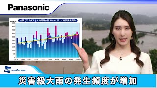 ウェザーニュースLIVE×もしもの備え「大雨への備え」【パナソニック公式】