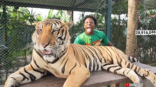 iShowSpeed BARKS AT 1000 POUND TIGER 💀