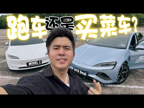 BYD Seal 对上 Tesla 用户会擦出怎样的火花？！3.8s 马路怪兽级