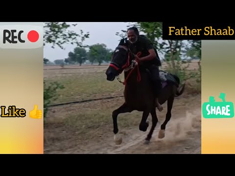 Father Shaab | fitness | Horse Riding | Jai Shree Ram ⛳