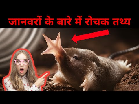 जानवरों के बारे में रोचक तथ्य | Interesting facts about animals | factsso