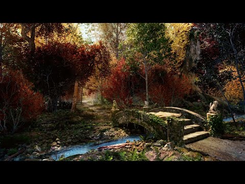 Autumn Ambience - Forest and Creek Sounds, Woodland Bird Song | 3 Hours