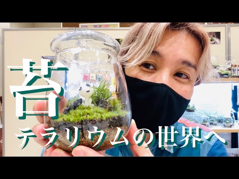 【苔テラリウム】苔テラリウムの世界へ【ワークショップ】【MilkyGreen】